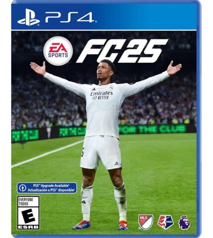 EA SPORTS FC 25 (PS4)
